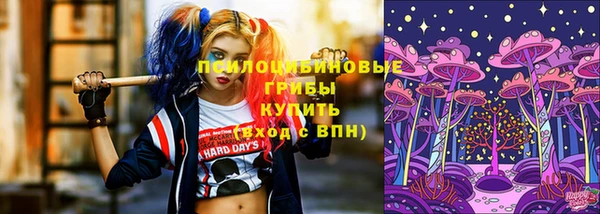 МДПВ Пролетарск