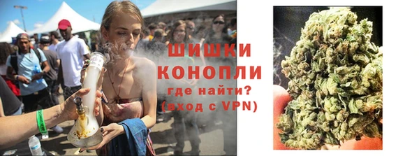 твердый Протвино