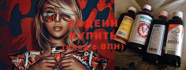 ешки Алзамай