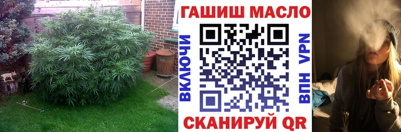 Дистиллят ТГК концентрат  где можно купить   площадка клад  Пыталово 